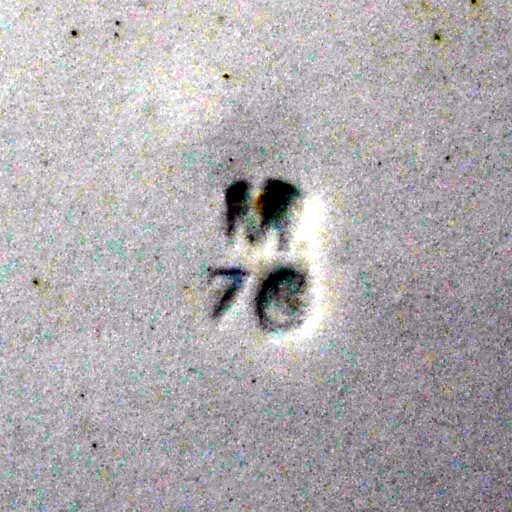 Copeland antique floral blue and white china soup bowl - Image 4