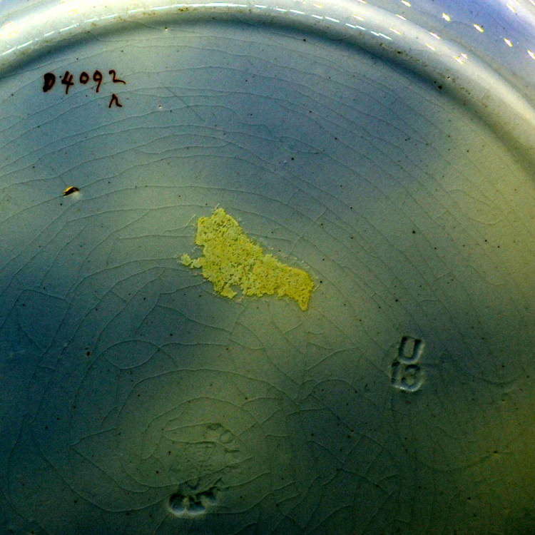 Copeland Lustre Ware Lotus Blosom D4092 Ironstone China Plate 1913 - Image 3